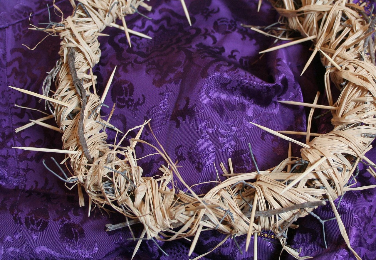 crown of thorns, jesus, crucifixion, good friday, holy week, holy, torture, christ, easter, calvary, faith, catholic, passion, catholicism, christian, crown, devotion, christianity, religion, religious, symbol, crucified, tradition, purple, purple robe, royal, king, jews, jesus christ, submission, good friday, good friday, good friday, good friday, good friday, holy week, holy week, holy week, holy week